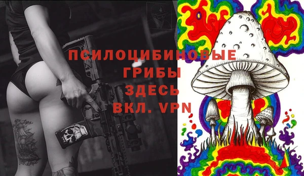 крисы Карпинск