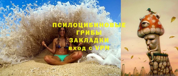 крисы Карпинск