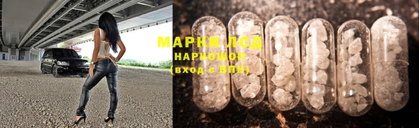 крисы Карпинск